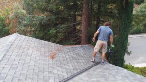 Trey - Standard Roof Cleaning