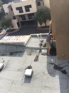 roof cleaning clean job
